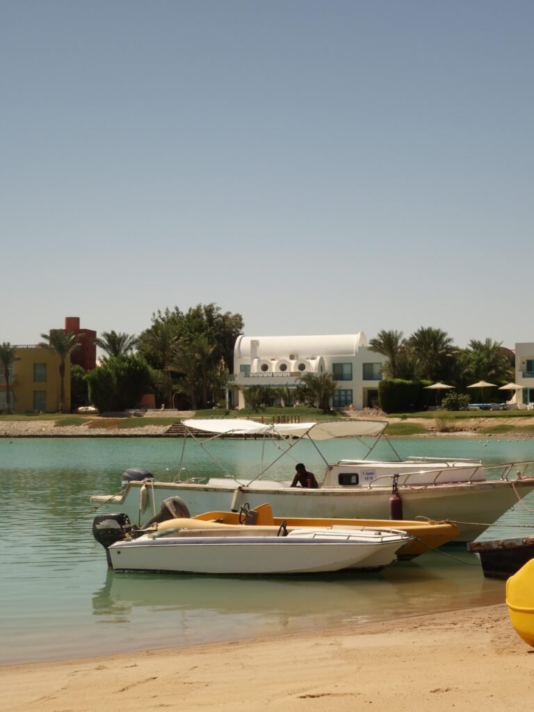 0e5e0033 d58c 46bb a253 7e005e2c57e0