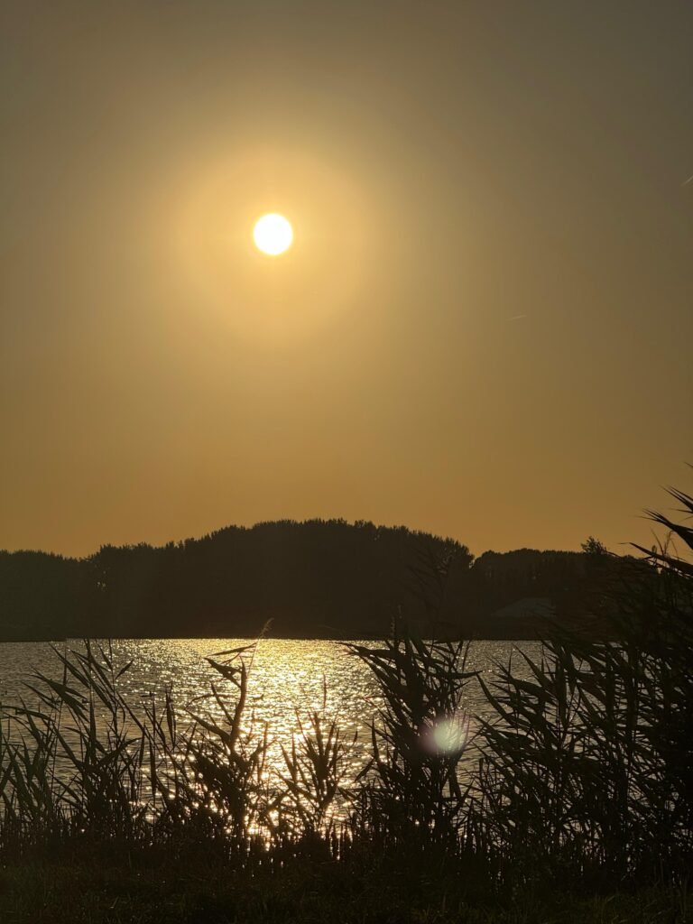 ae775417 f0ca 4271 9c18 244968db8088